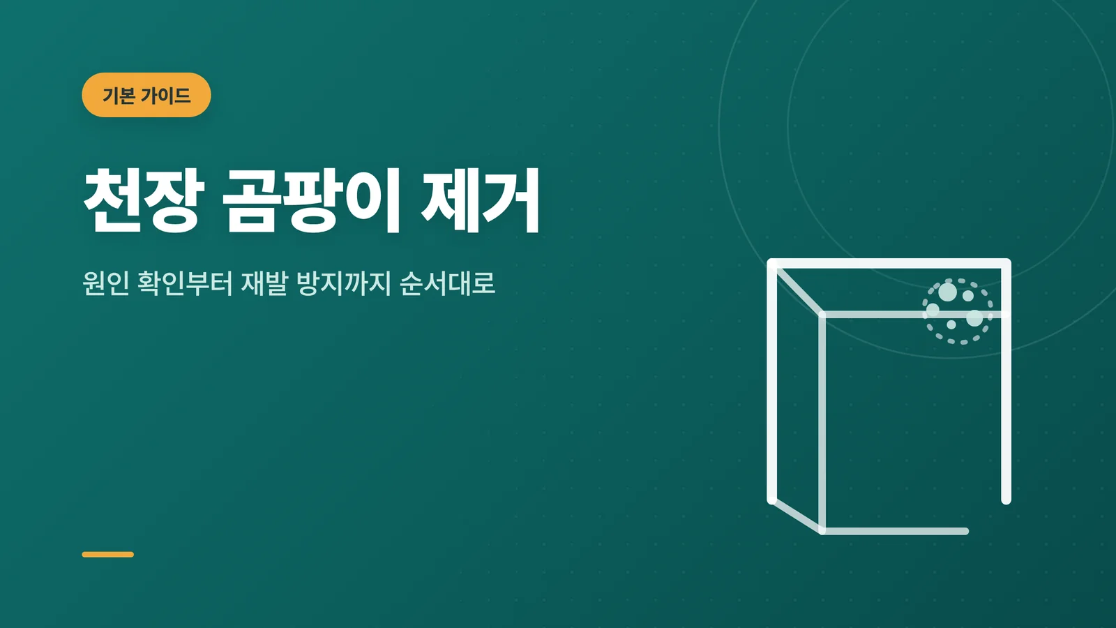 천장 곰팡이 제거