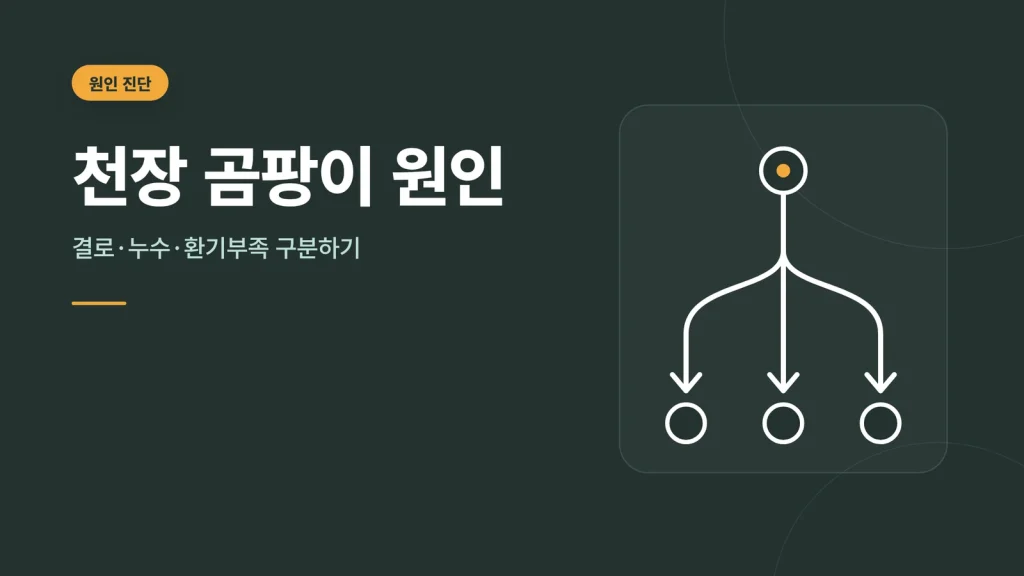 천장 곰팡이 원인 가이드