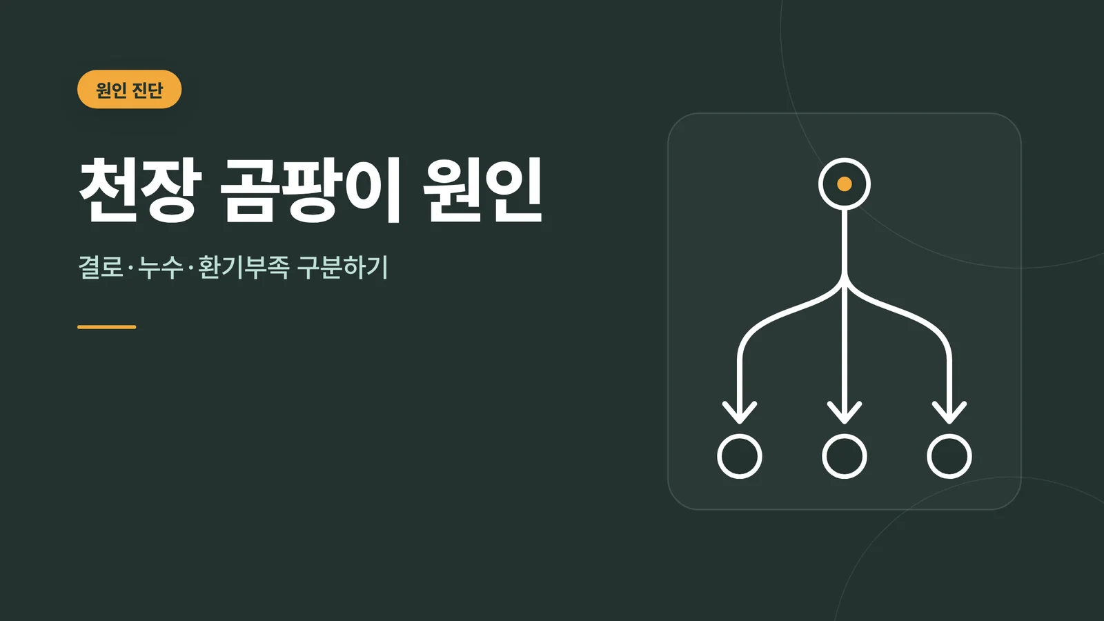 천장 곰팡이 원인