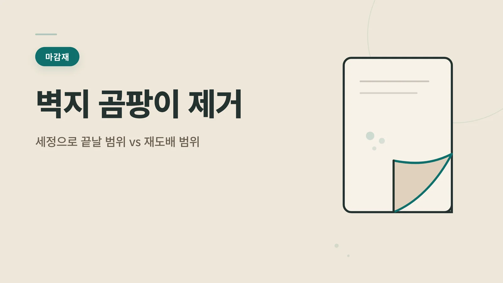 벽지 곰팡이 제거