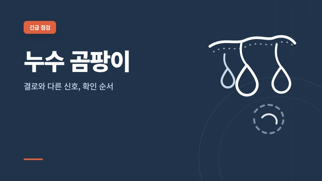 누수 곰팡이 가이드